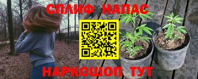 бошки Тверь