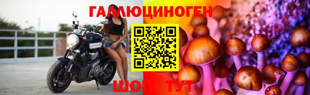 Галлюциногенные грибы Magic Shrooms  Вход с VPN  Асино  Галлюциногенные грибы MAGIC MUSHROOMS 