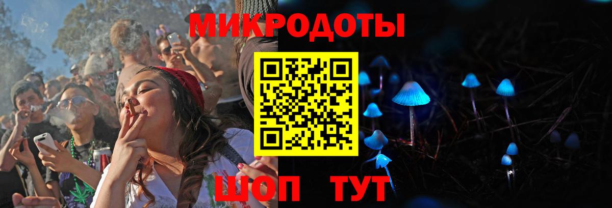 Псилоцибиновые грибы Psilocybe Асино